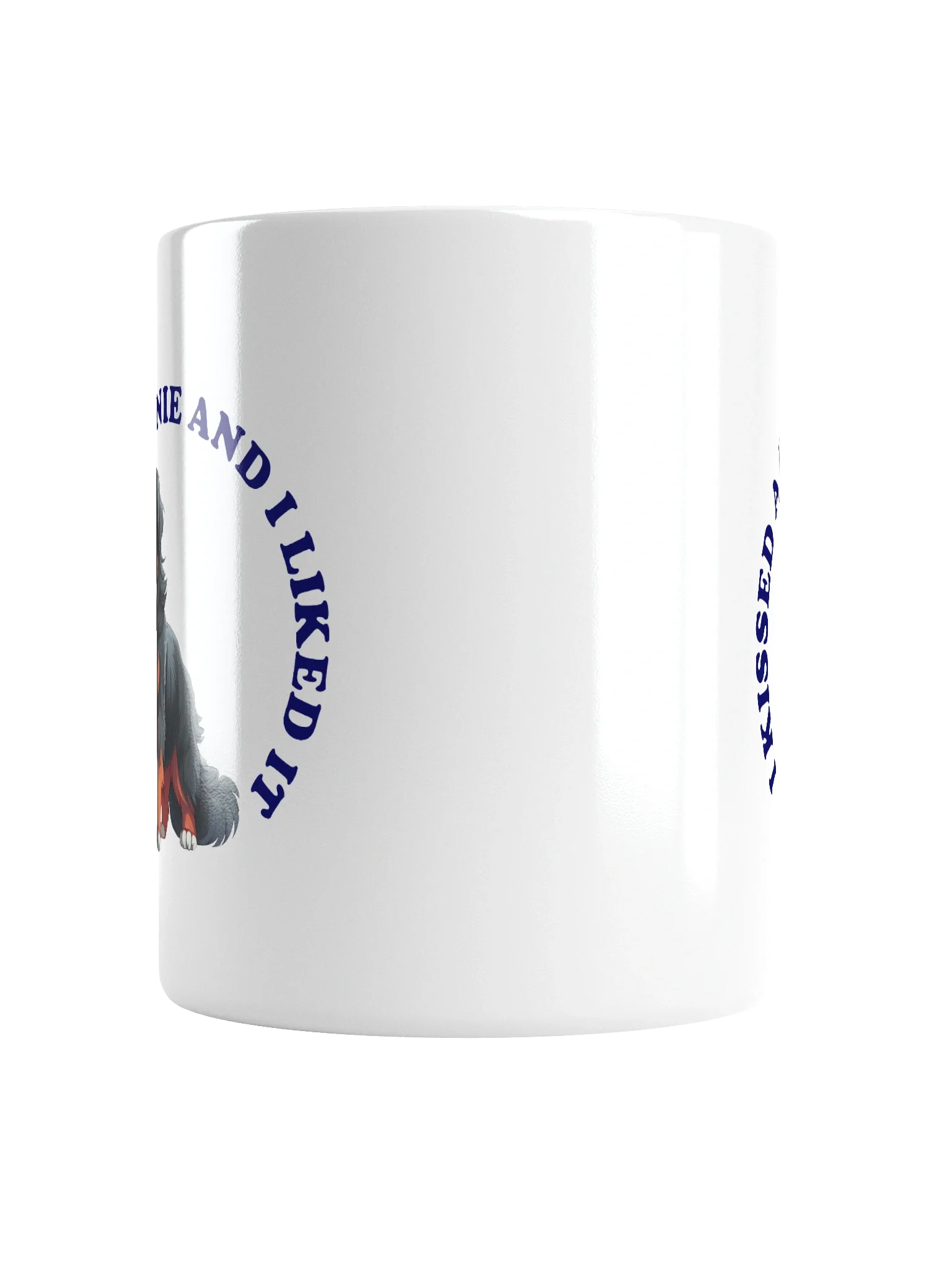 I Kissed a Bernie, Mug product image (16)