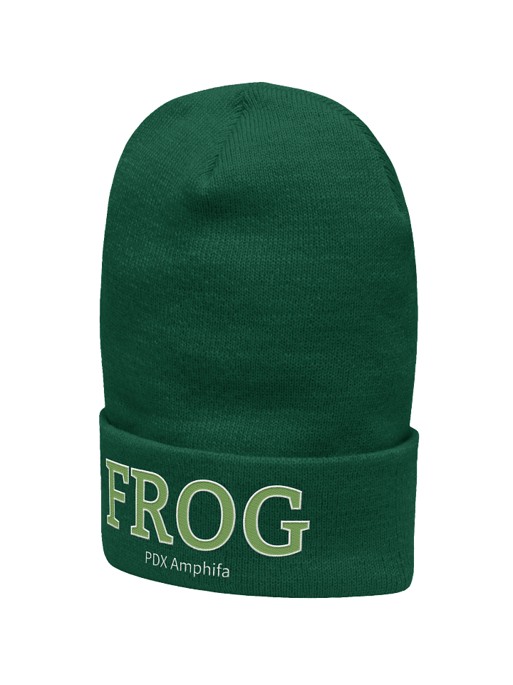 Amphifa: Embroidered FROG Cuffed Beanie product image (2)