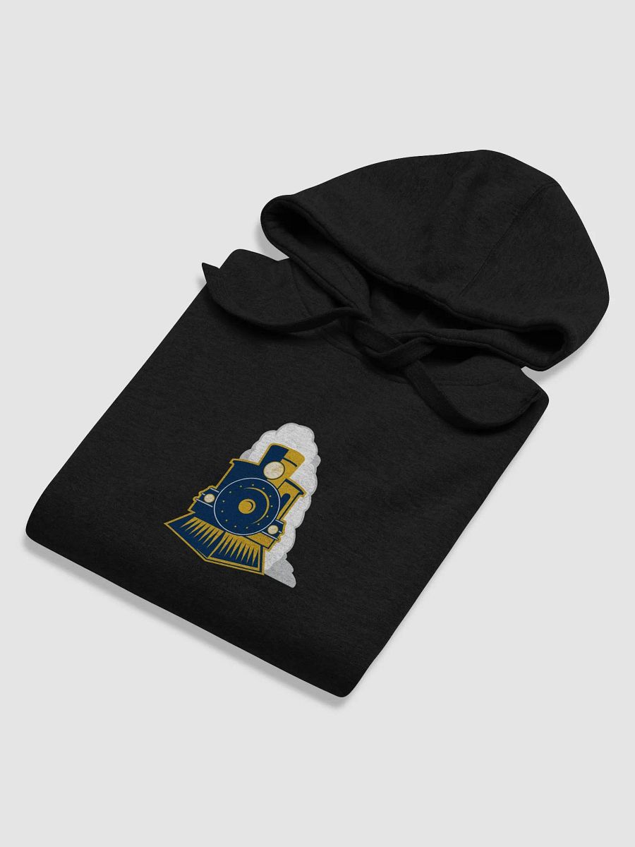 Express Premium Unisex Hoodie product image (36)