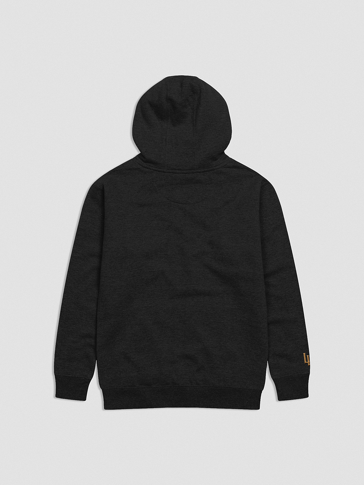 Golden Gloves Premium Hoodie product image (2)