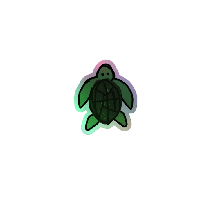 Turtle 2 product image (1)