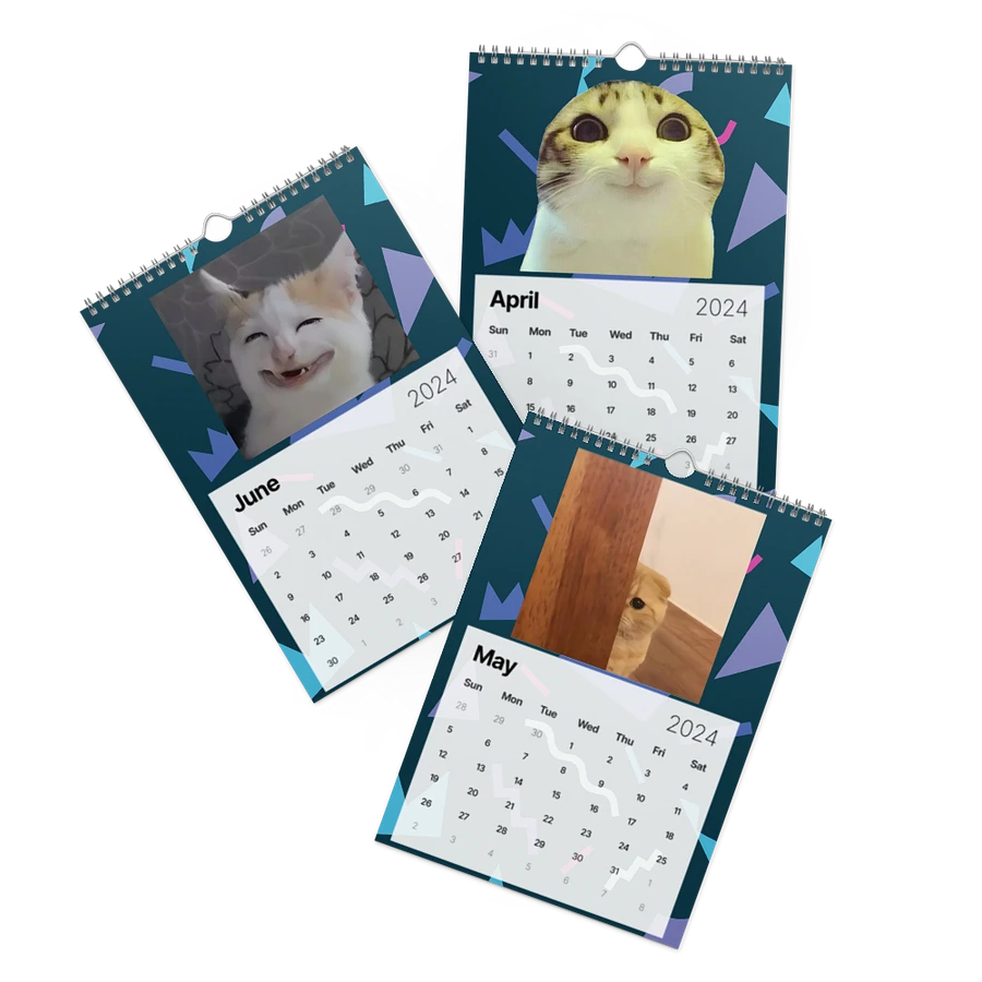 Wall Calendar (2024): Meme Cats product image (3)