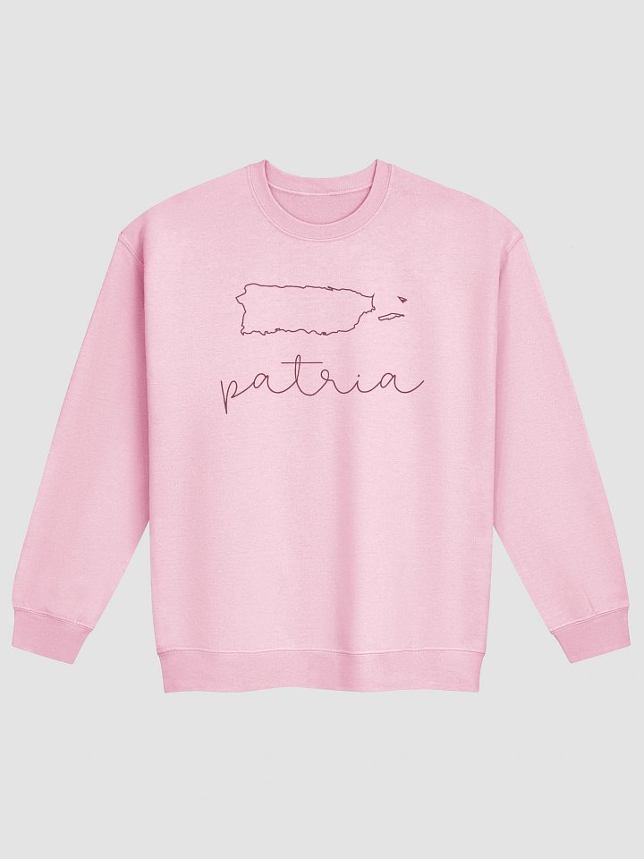 Patria Pink Sweatshirt product image (1)