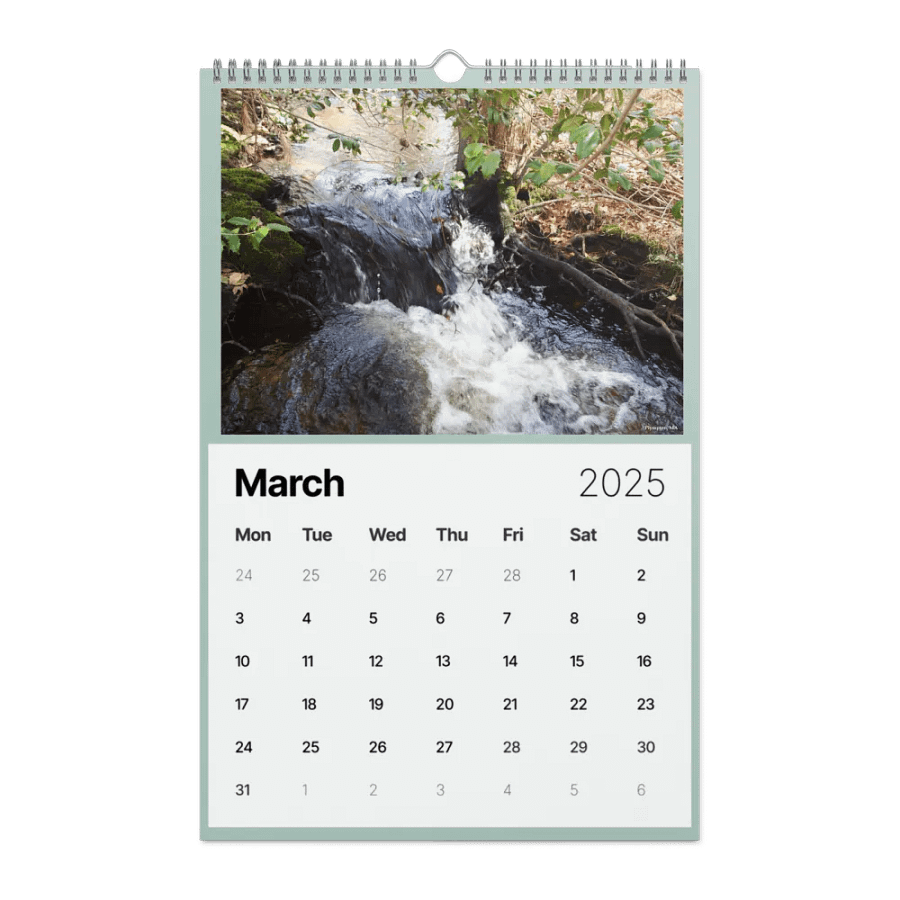 2025 calendar product image (3)