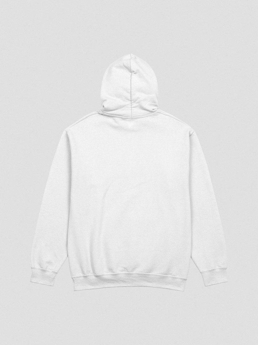 Trying Times classic hoodie product image (12)