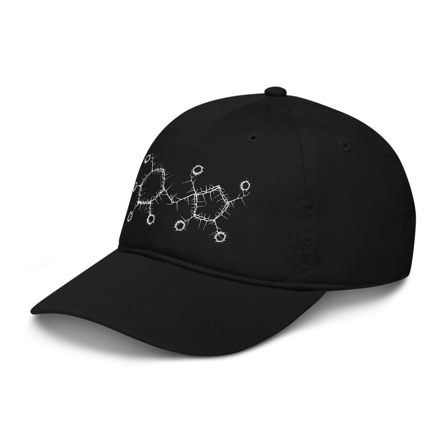 Sugar - Dad Hat product image (3)