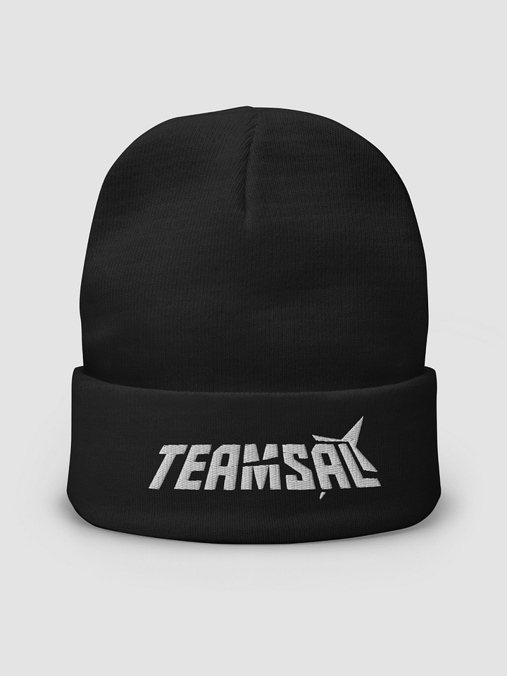 TEAM SAL BEANIE product image (2)