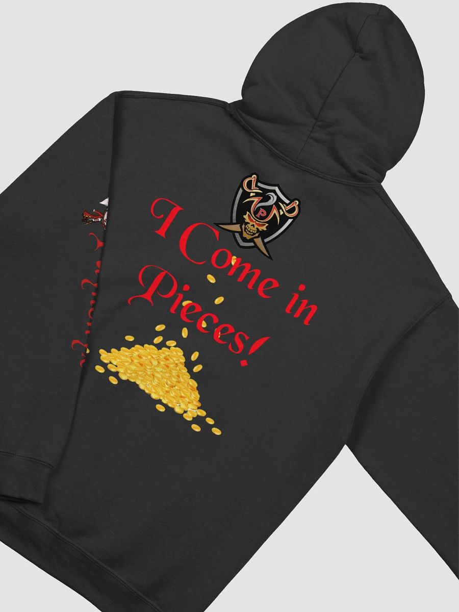 I.C.I.P. Hoodie product image (23)