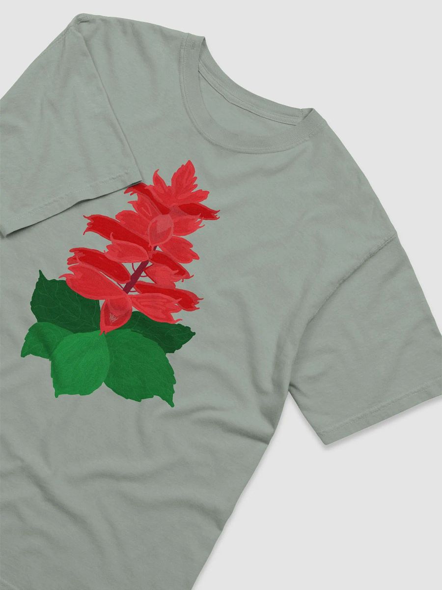 Salvia Splendens product image (3)