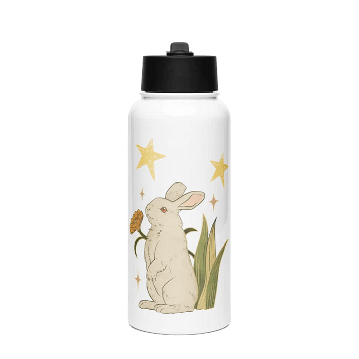 Stargazing Rabbit | Stainless Steel Water Bottle product image (1)