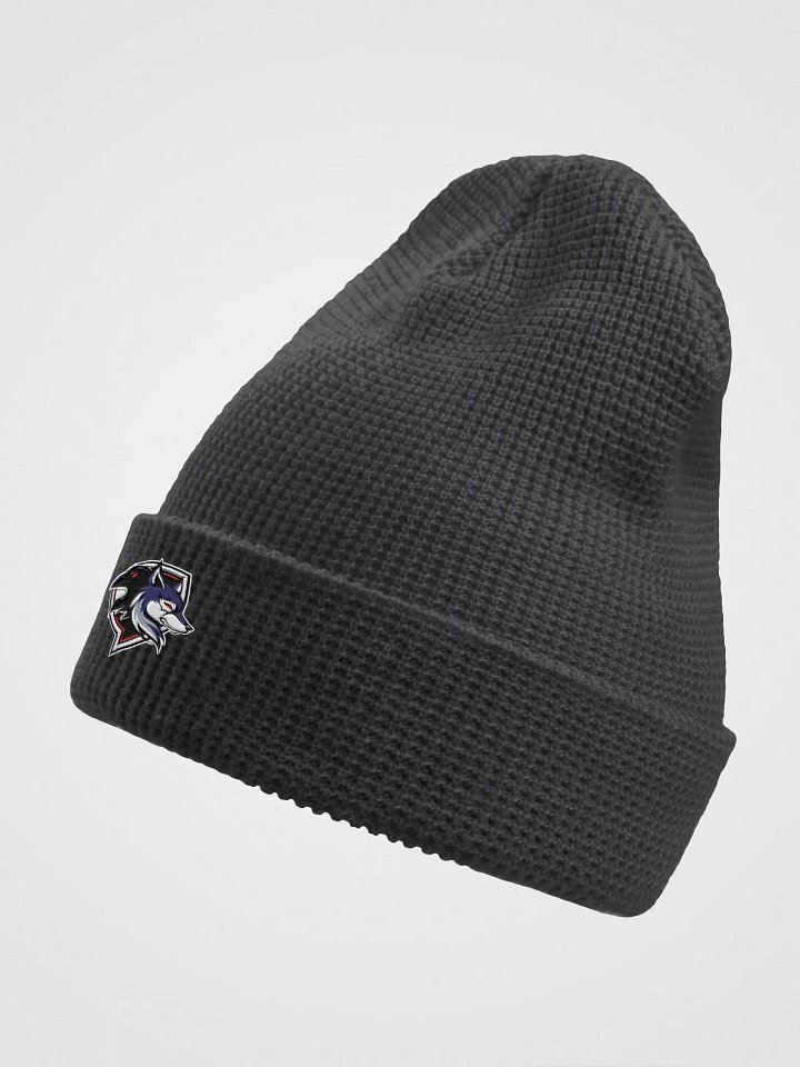 Raven Logo Waffle Beanie product image (7)