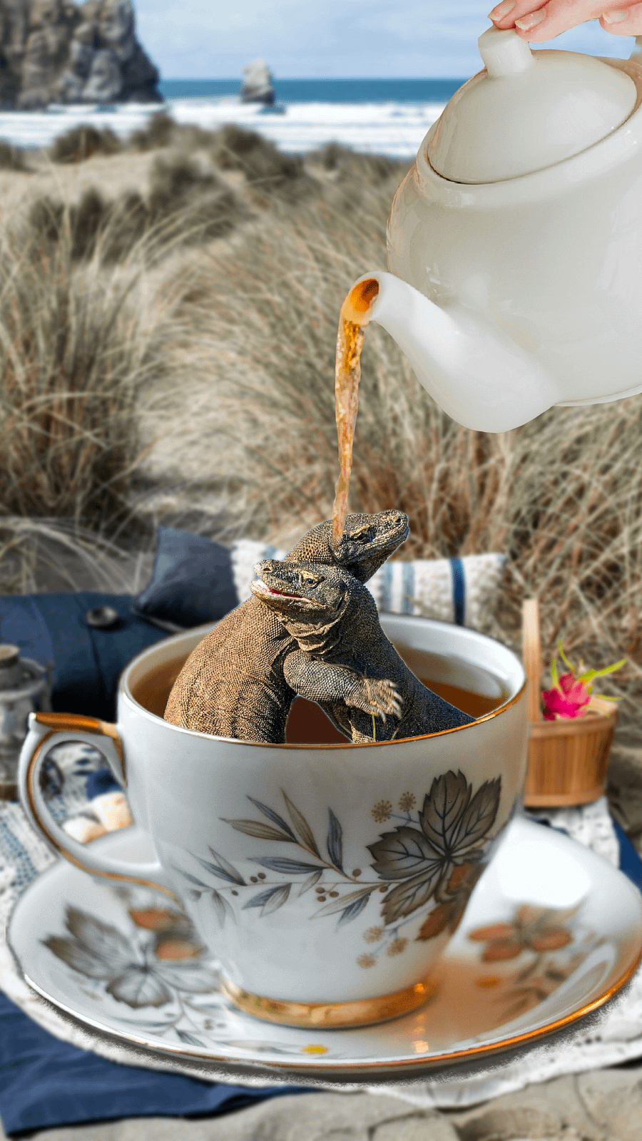 Tarot & Dragons Downloads product image (3)