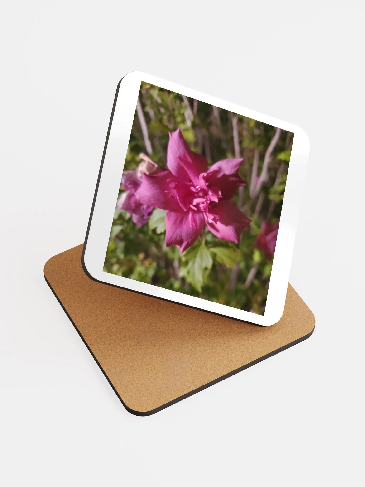Pink flower photo product image (3)
