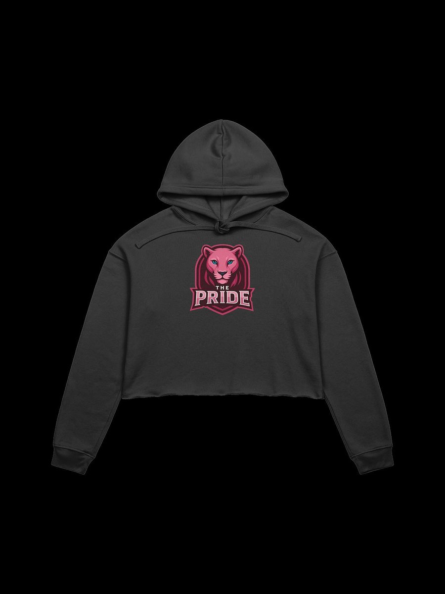 The Pride Crop Sweater product image (33)