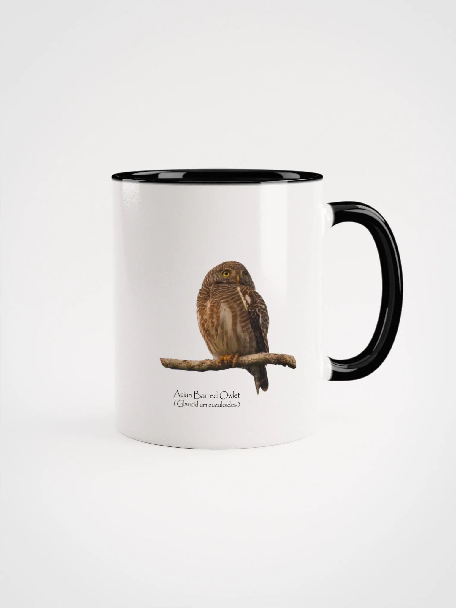 Asian Barred Owlet mug product image (2)