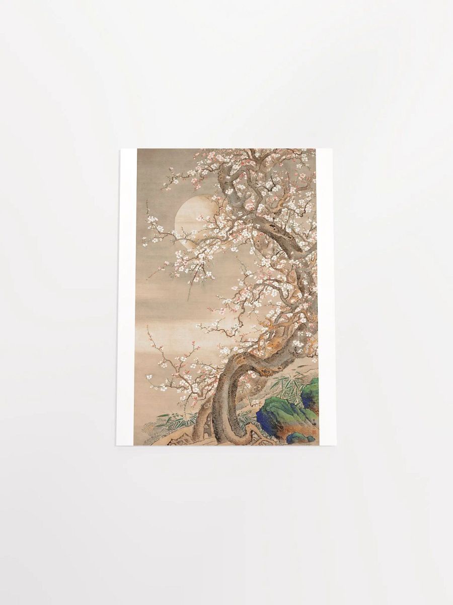 Japanese Plum Blossoms in Moonlight by Sō Shizan product image (4)