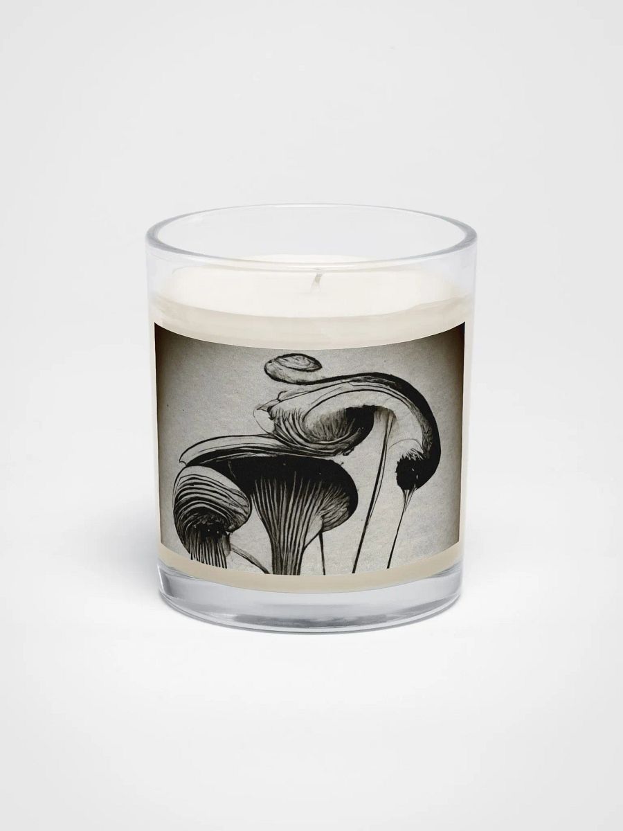 Mystical Mushroom Soy Candle product image (1)