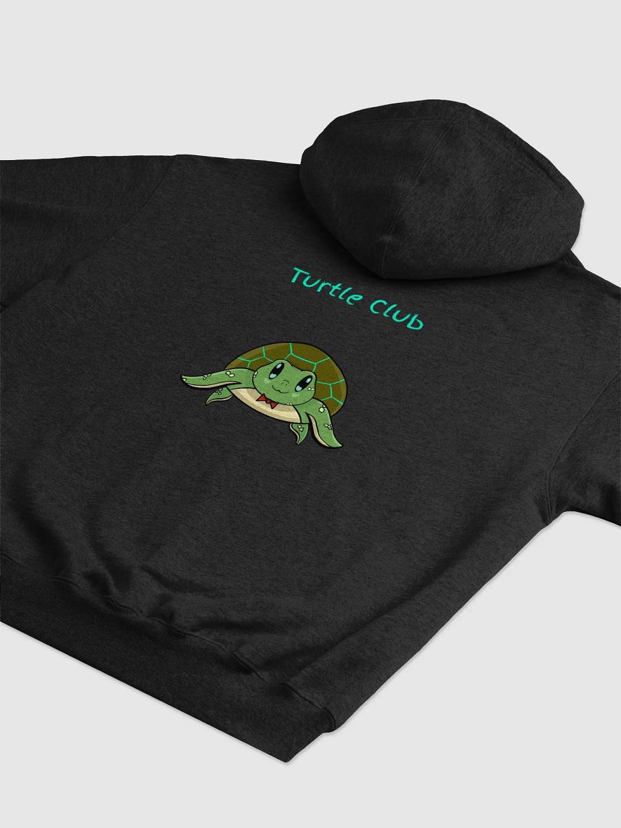 Champion Hoodie product image (4)