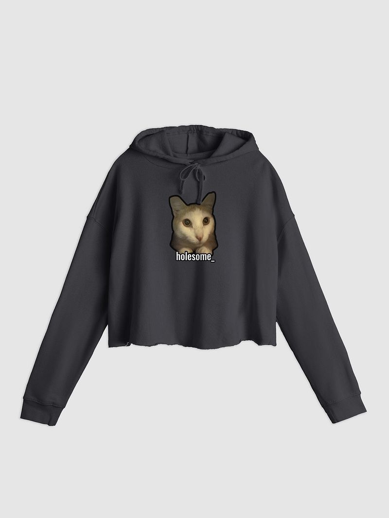holesome Nico lightweight crop top hoodie