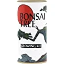Bonsai Tree | Seed Grow Kit product image (1)