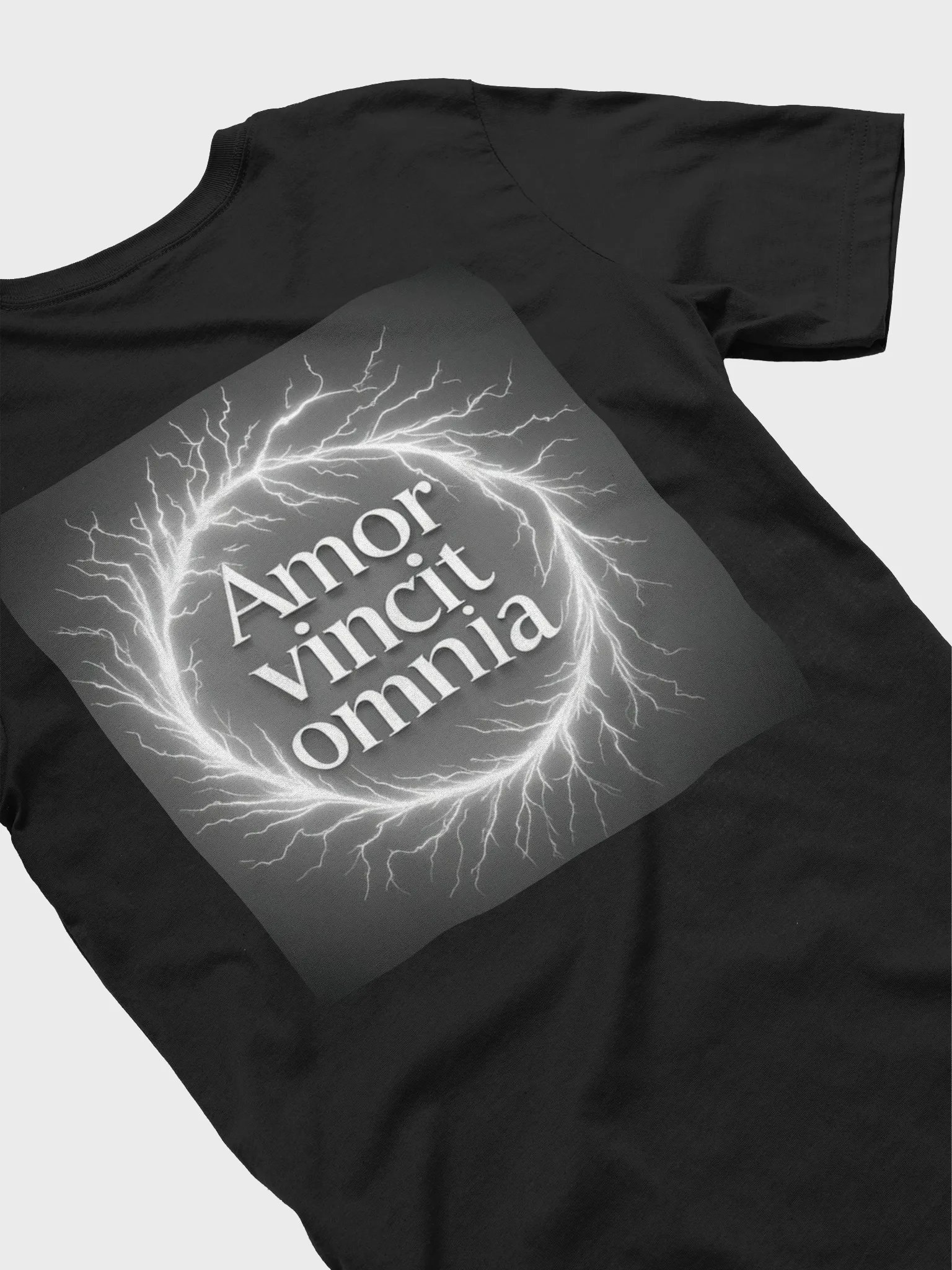 love conquers all (T shirt) Women's product image (4)