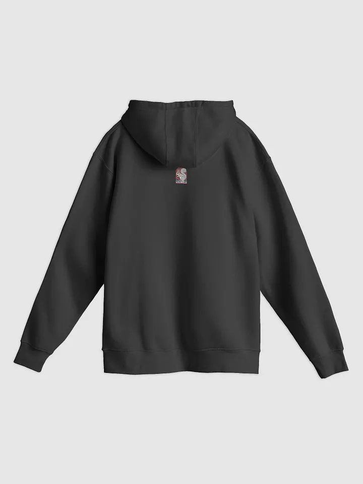 Premium, super soft Hoodie, Prpofessor Pooky's BFF product image (2)