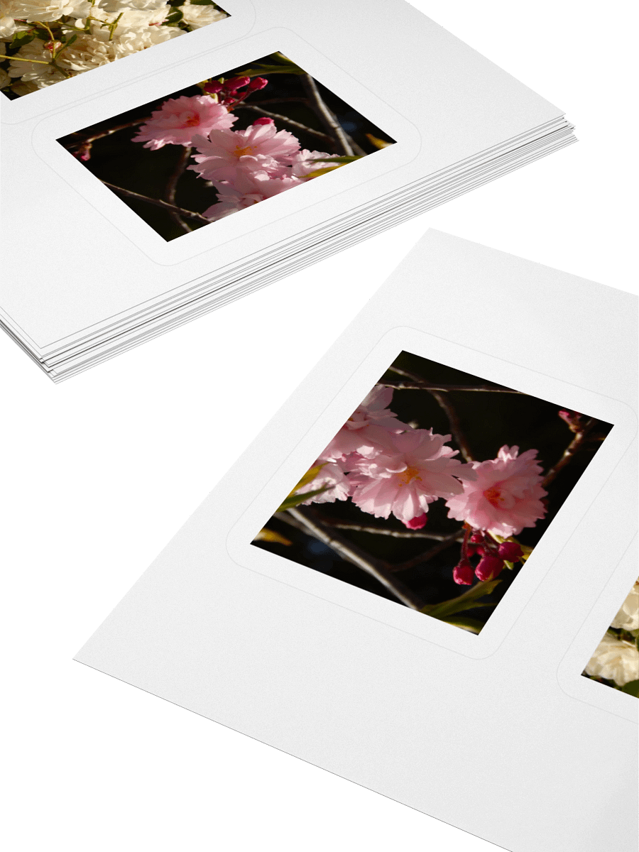 Flowers - Sticker Sheet product image (4)