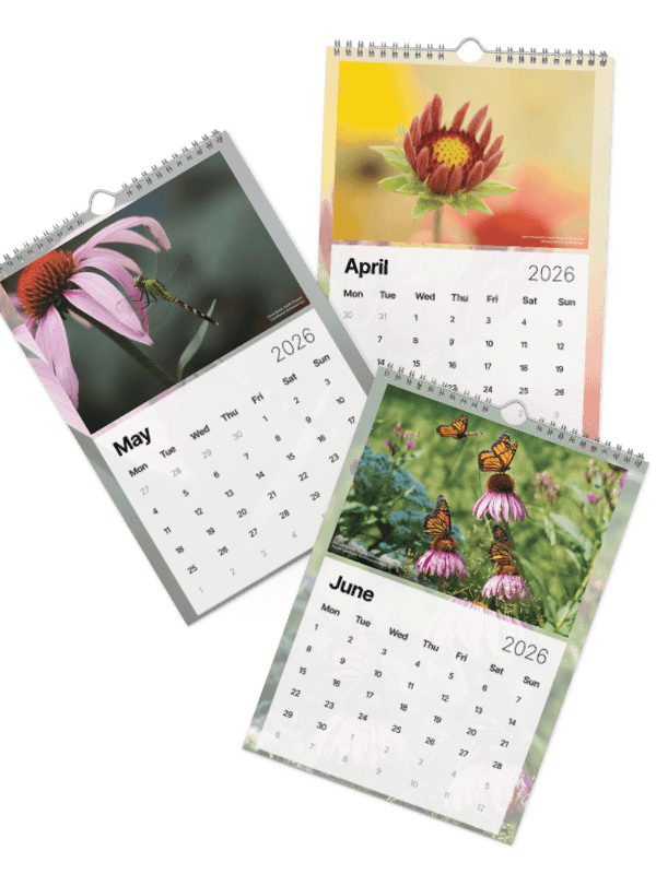 2026 Wall Calendar product image (3)