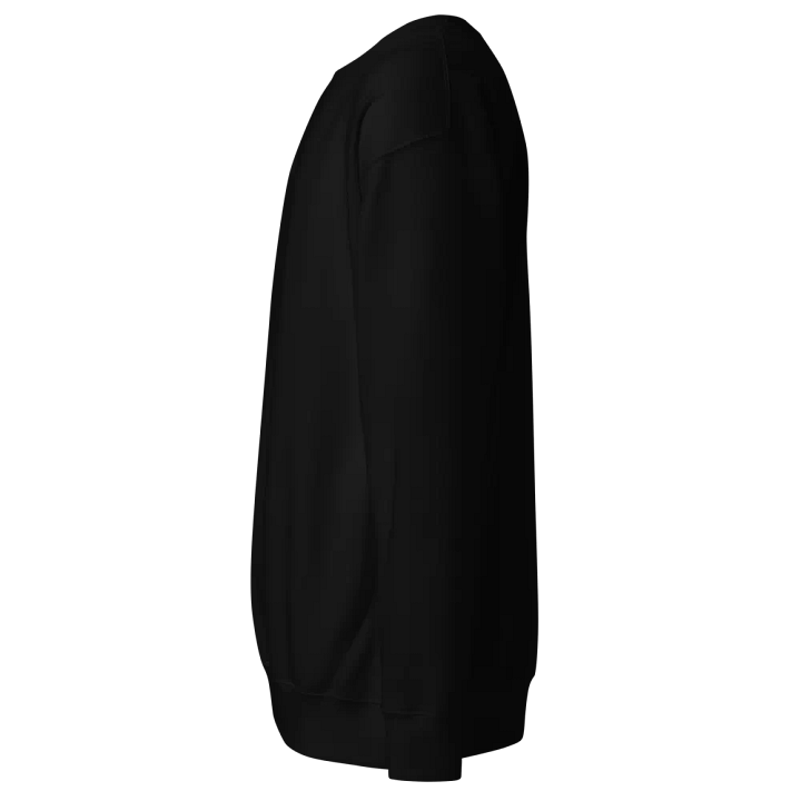 [DAT1] Premium Black Sweatshirt (black logo) product image (2)