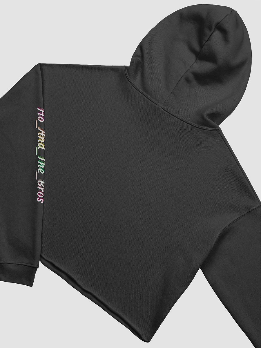 Ho_And_The_Bros Rainbow Logo Cropped Hoodie product image (14)