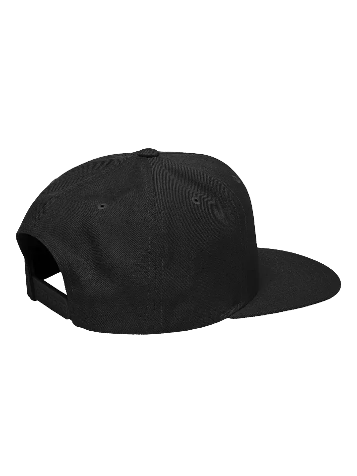 The PASP B&W OG Snapback product image (2)