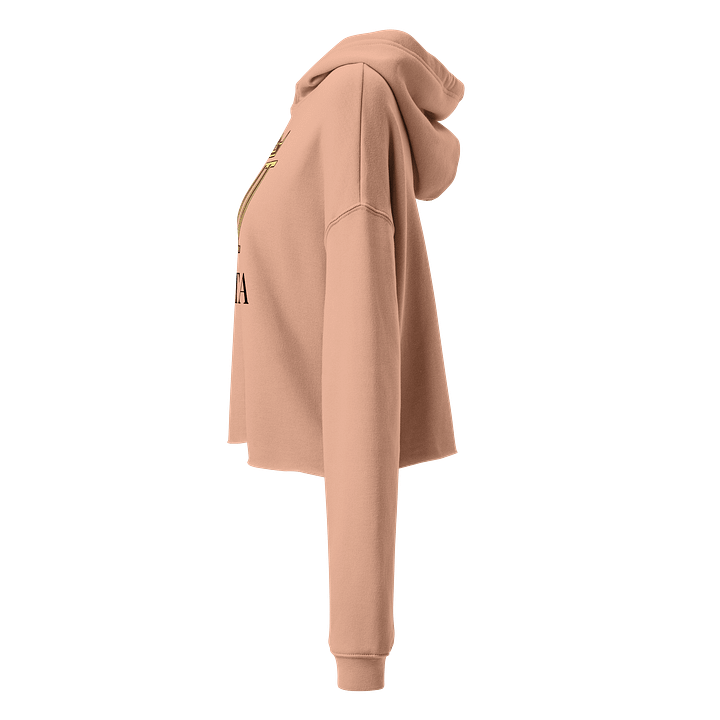 VETA Cropped Hoodie - Peach product image (2)