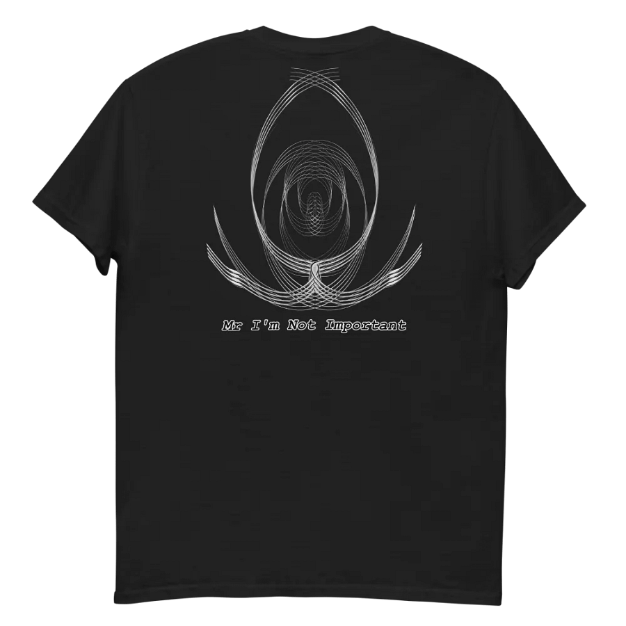 Aaron - Embroidered - Heavyweight T-Shirt - Mr. I'm Not Important product image (4)