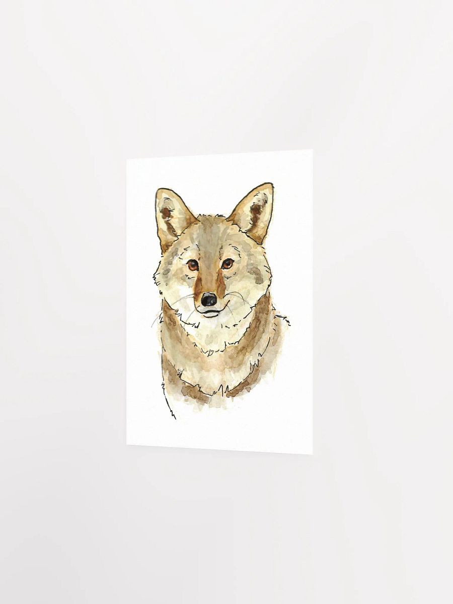 Watercolor Coyote Portrait - Art Print product image (9)