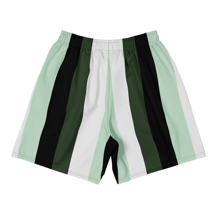 HIM Vintage Style Swim Shorts Green product image (2)