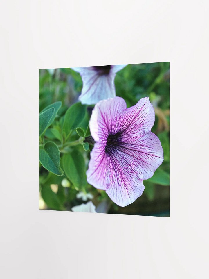 Purple Flower product image (8)