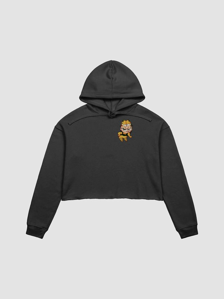 Sexi Gafoog Crop Hoodie product image (4)