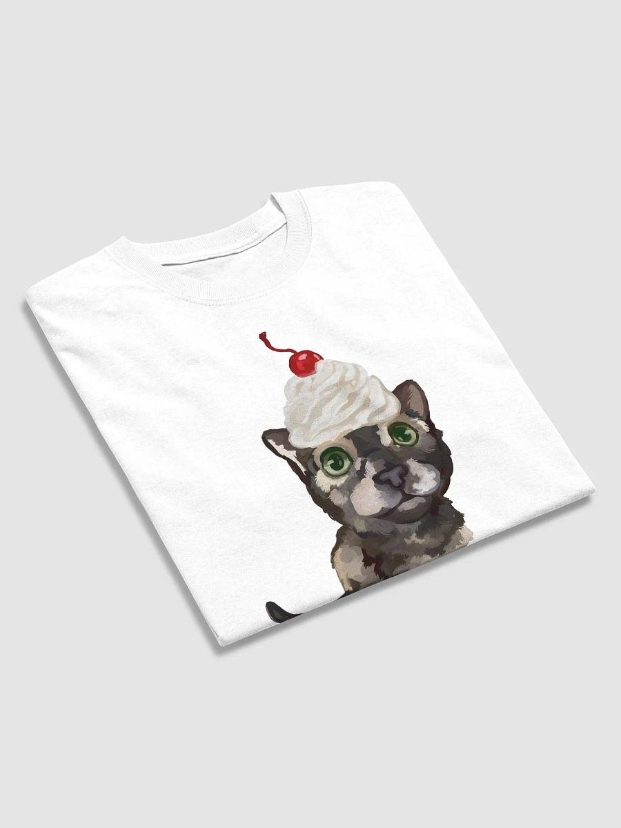 normal average cat product image (9)
