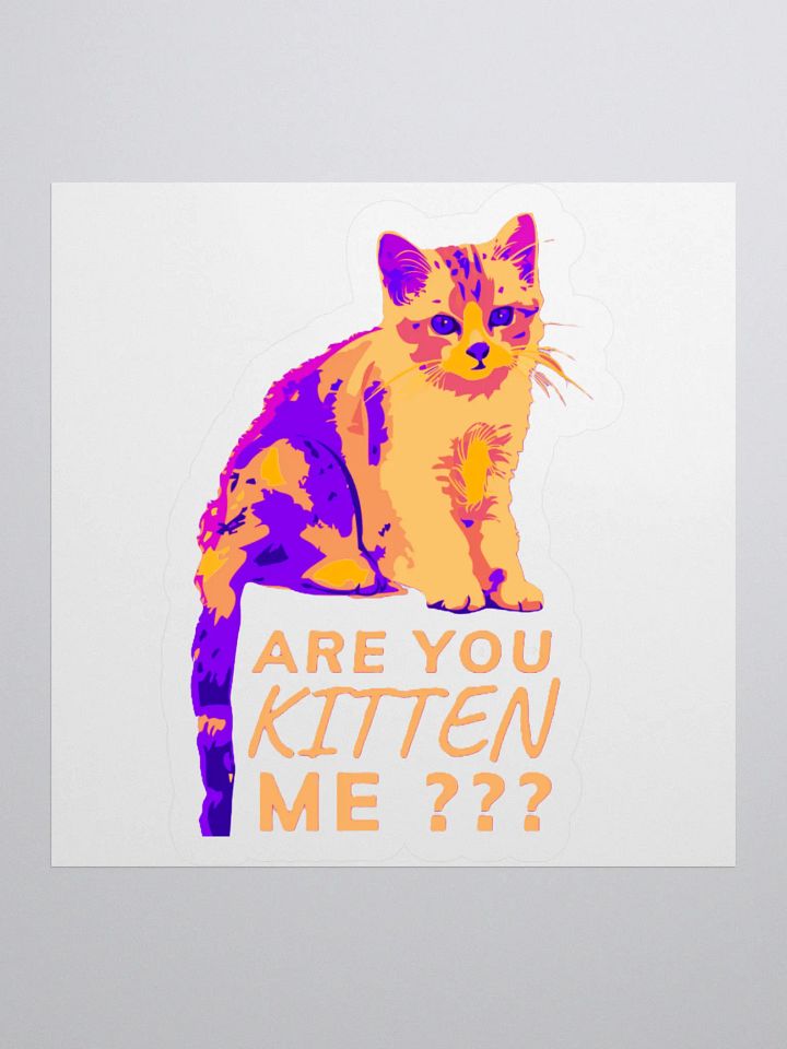 ARE YOU KITTEN ME??? product image (3)