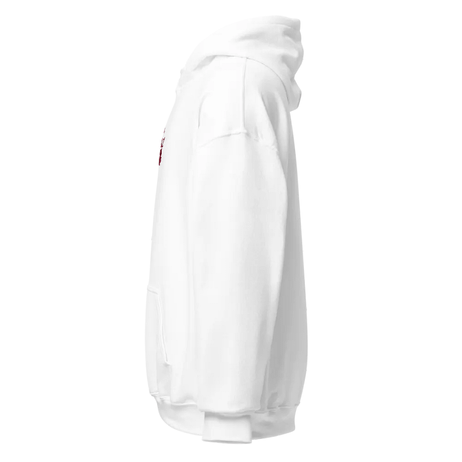 LIMITED EDITION ORCHID RUKKAZ HOODIES product image (2)