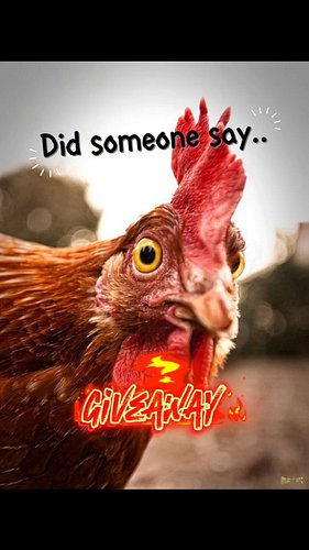 We will be doing a giveaway once we hit 500 followers on our Facebook page! Which of our custom Cluckin' Creek Koozies should...