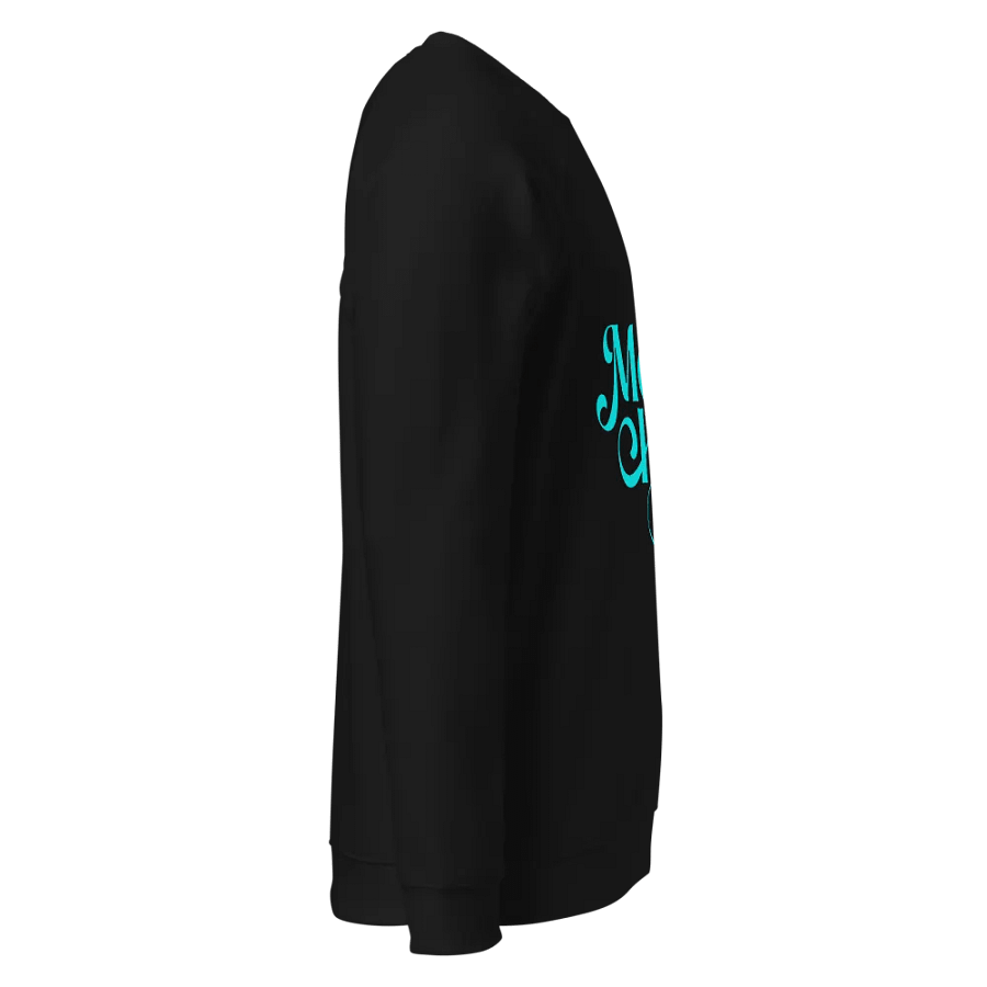 Mount Hills Organic Raglan Sweatshirt product image (4)
