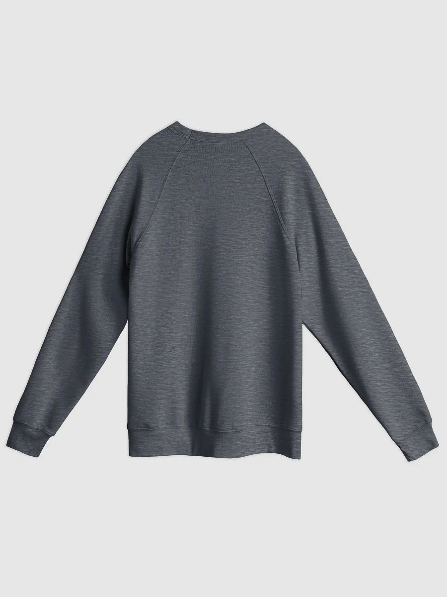 all hail the uterus (raglan sweatshirt) product image (2)