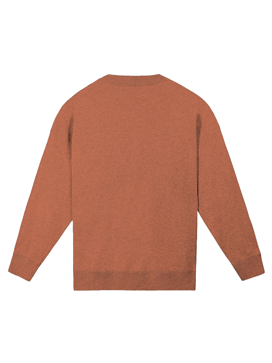 Tiger Jacquard Sweater – Relaxed Knit Pullover with Bold Wildlife Design product image (6)