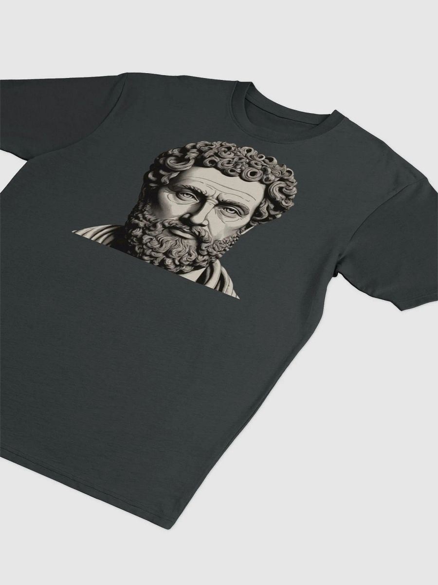 t-shirt stoic product image (3)