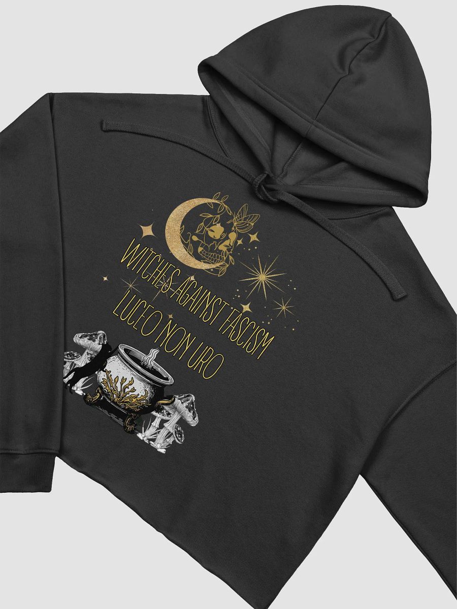 Witches Against Fascism - Crop Top Hoodie product image (3)