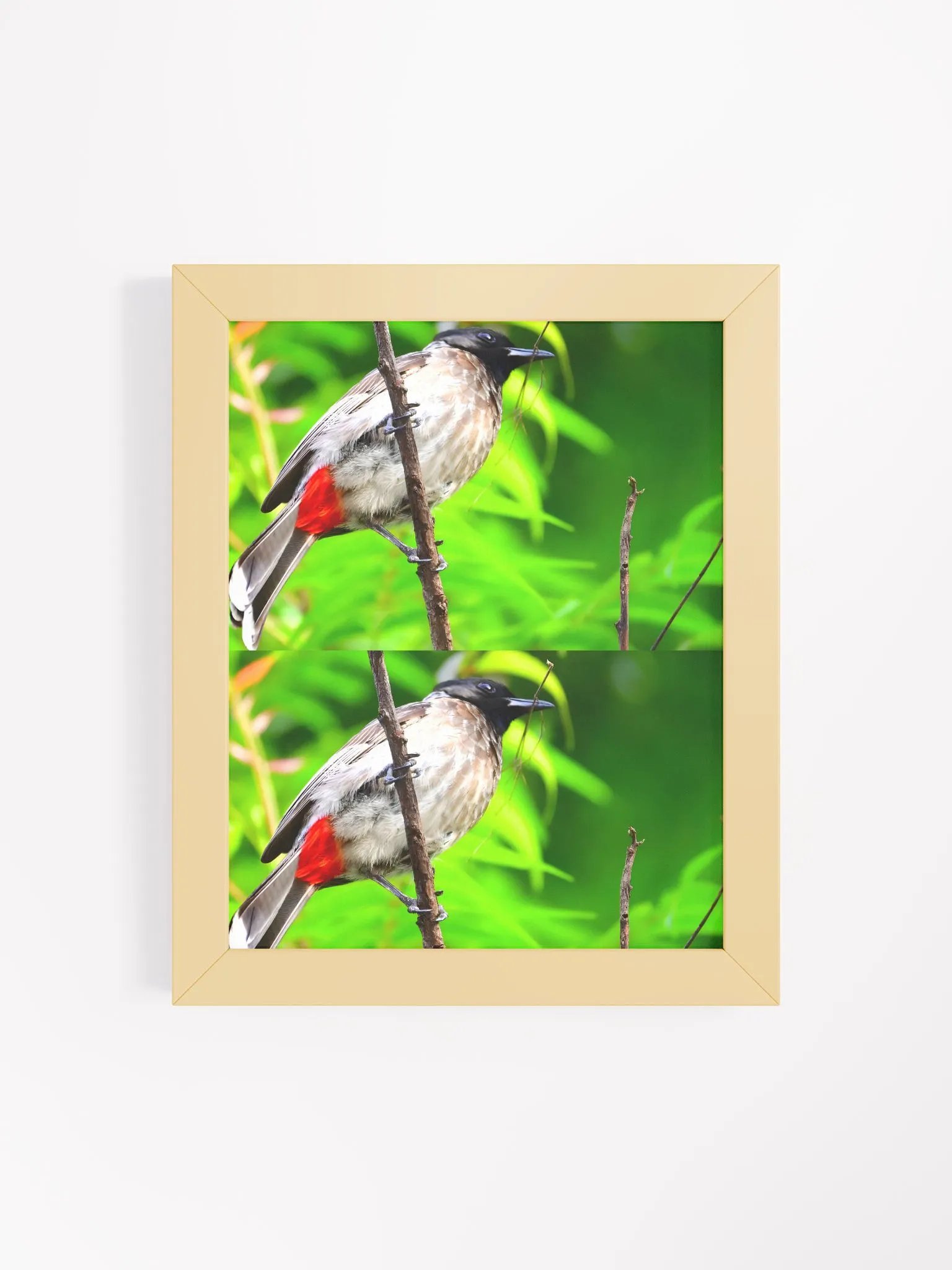 IUCAA Birds Photos product image (10)