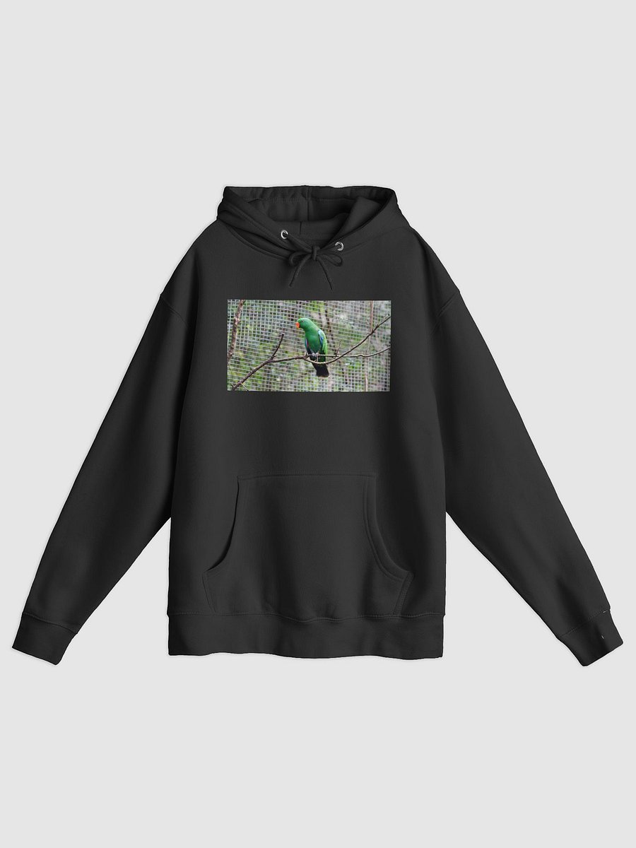 Vibrant Parrot Perch Hoodie product image (1)