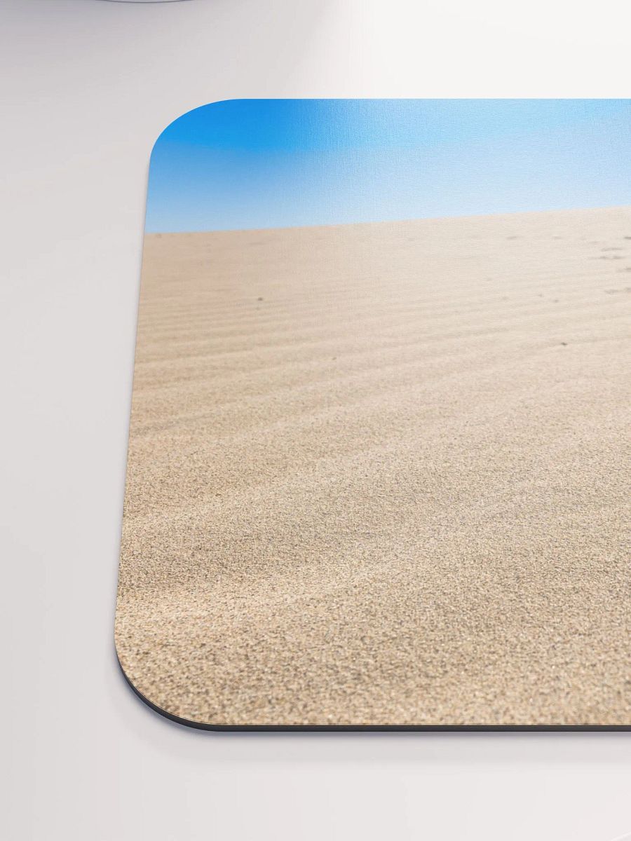 Salton Sea Coyote product image (6)