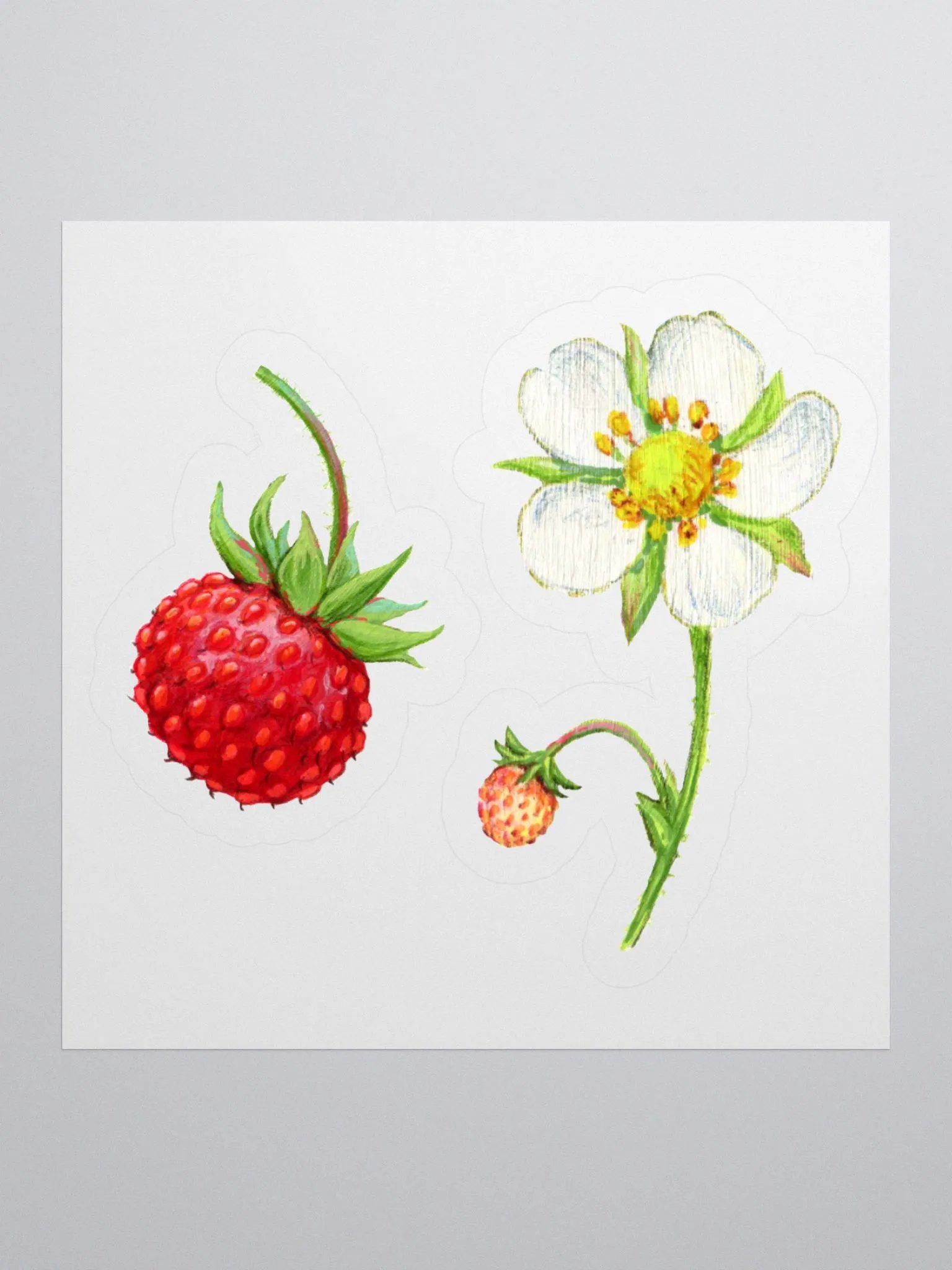 Wild strawberry and flower stickers product image (3)